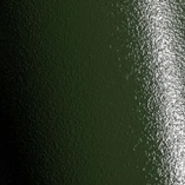 Avery Dennison Rugged Marsh Green swatch